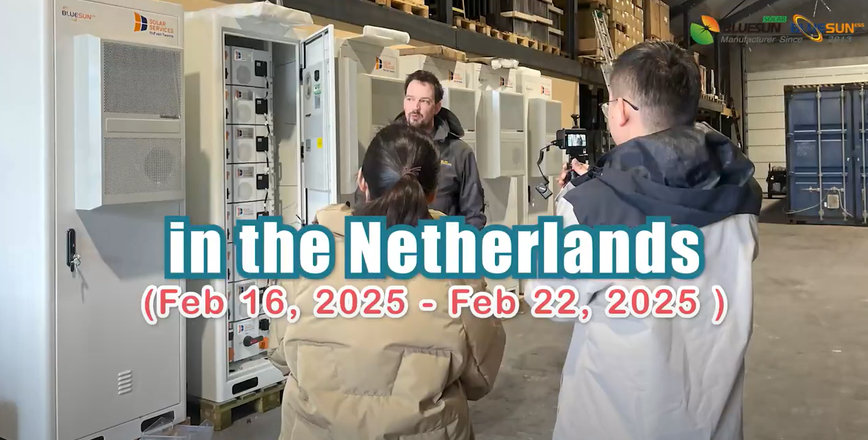Bluesun in Netherlands: Powering the Future with Lưu trữ năng lượng Giải pháp