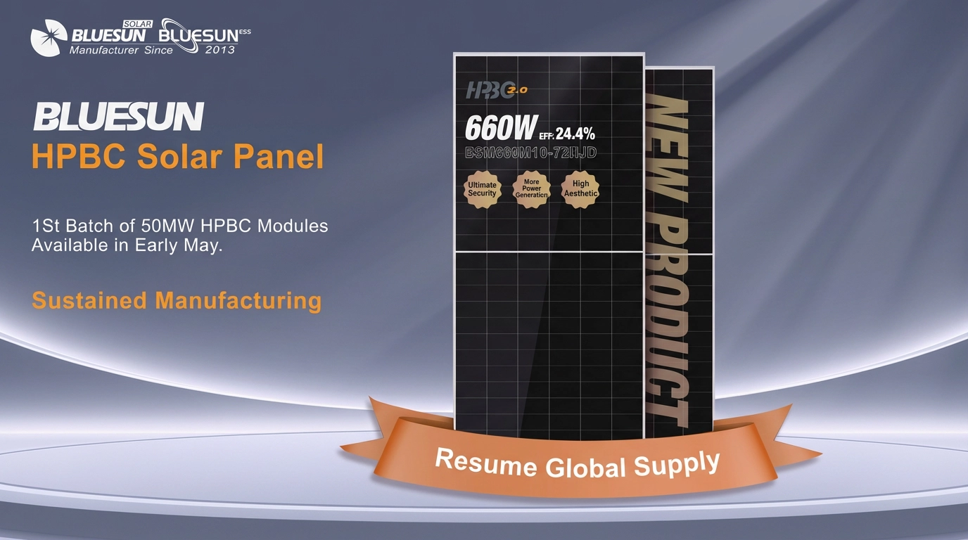 Bluesun Launches Exclusive 50MW HPBC Module Subscription Program | 660W Tấm pin mặt trời